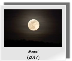 Mond (2017)