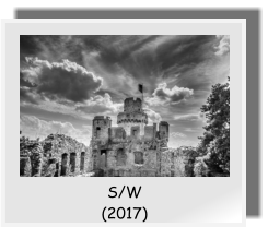 S/W  (2017)